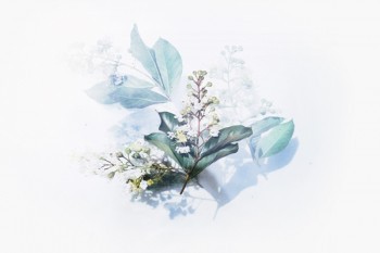 重疾險(xiǎn)買(mǎi)了之后不繳費(fèi)了要怎么操作