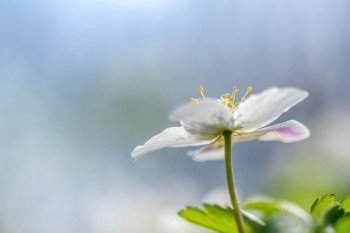 平安少兒綜合意外險