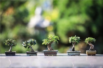 為什么要買醫(yī)療保險和重疾險