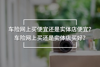 車險(xiǎn)網(wǎng)上買便宜還是實(shí)體店