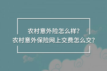 農(nóng)村意外保險網(wǎng)上交費