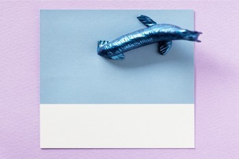 在不同的保險(xiǎn)公司買兩份意外險(xiǎn)