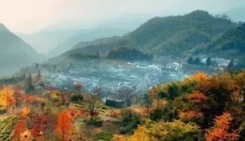 寧波市民保怎么購(gòu)買？怎么理賠呢？