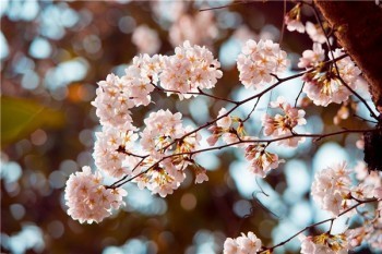 壽險(xiǎn)該不該買(mǎi)