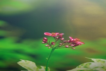 壽險(xiǎn)繳費(fèi)期限