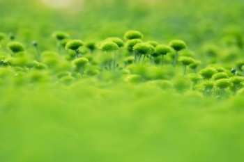 終身壽險(xiǎn)按照交費(fèi)方式可以分為