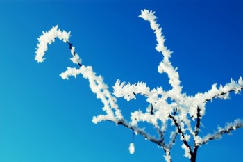 壽險(xiǎn)保單是什么
