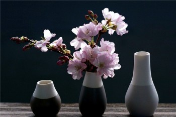 定期壽險(xiǎn)對(duì)比