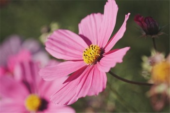 美好金生終身壽險(xiǎn)