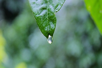 定期壽險(xiǎn)一般多少錢
