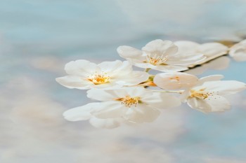 福保保壽險(xiǎn)