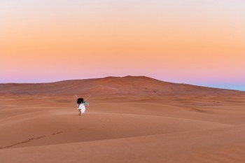 太平洋金享人生終身壽險