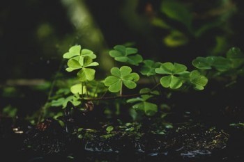 國壽福滿一生怎么可以全額退保？有哪些注意事項？