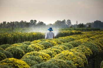 中國人壽康寧保險保險退保能退多少錢？怎么能全額退保？