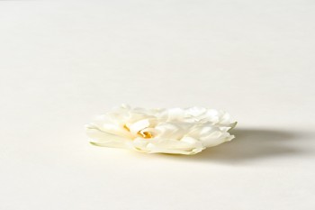 金瑞人生終身壽險分紅型看病報銷嗎