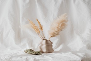 愛意永久尊享版終身壽險(xiǎn)