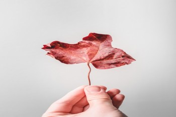 壽險(xiǎn)改革的目的是什么