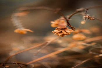 英大人壽保險(xiǎn)公司怎么樣