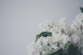 中荷簡愛定期壽險怎么樣？有什么產(chǎn)品特色？