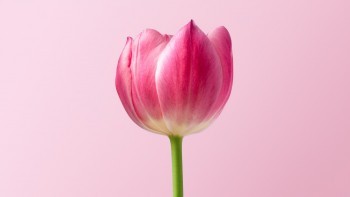 財(cái)富智贏年金保險(xiǎn)好不好？有哪些優(yōu)缺點(diǎn)？