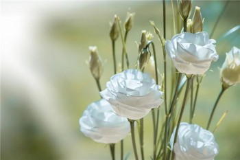 終身壽險好處