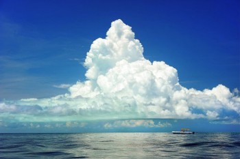 人壽國壽祥瑞終身壽險有沒有重大疾病保障