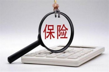 壽險什么意思