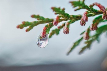 壽險(xiǎn)跟重疾險(xiǎn)有什么區(qū)別