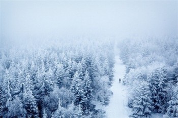 壽險保險公司會倒閉嗎