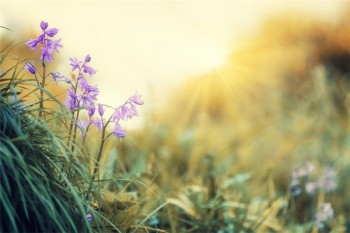 華泰人壽保險(xiǎn)官網(wǎng)