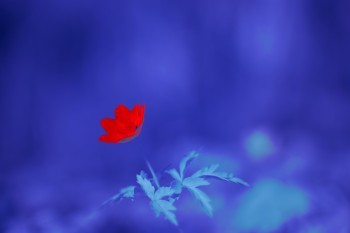 光大永明年年喜年金險(xiǎn)怎么樣？值得買嗎？