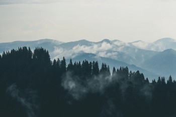 橫琴人壽重疾險(xiǎn)