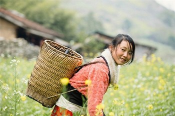 守護神增額終身壽險