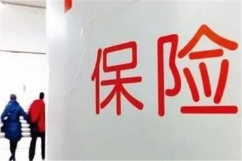 陸家嘴國泰人壽重疾險(xiǎn)