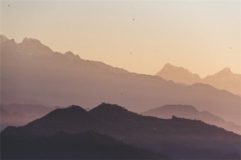 人壽險(xiǎn)退保能退多少錢