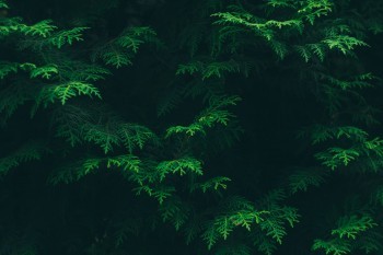 百年鑫越人生終身壽險條款，適合哪些人群購買？