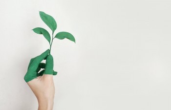 上海人壽大蘑菇定壽值得購買嗎？有哪些優(yōu)缺點(diǎn)？