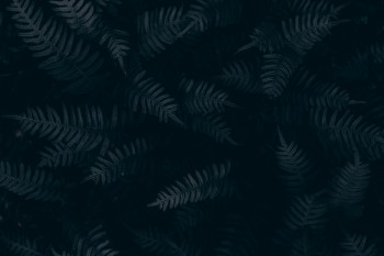 百年鑫越人生終身壽險(xiǎn)有哪些保障，值不值得購買？