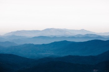 太平洋保險(xiǎn)怎么退保？流程是什么？