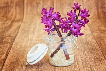重疾險(xiǎn)按年交還是按月交比較好
