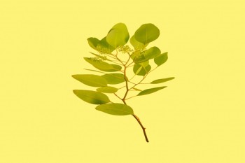 重疾險都包括什么病