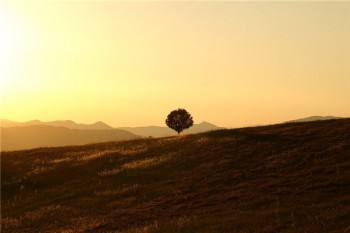 新華保險(xiǎn)重疾險(xiǎn)如果交了20年都沒(méi)有出險(xiǎn)