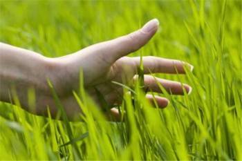 醫(yī)保通和重疾險的區(qū)別