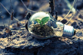 太平洋退保險(xiǎn)能收回多少本金？怎么樣才能全額退保？