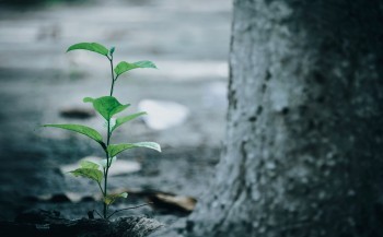 復星保德信星御家終身壽險優(yōu)缺點有哪些？適合哪些人購買？