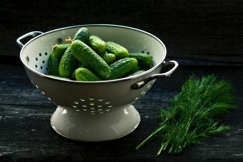 國富人壽定海柱1號多少錢？在哪買？