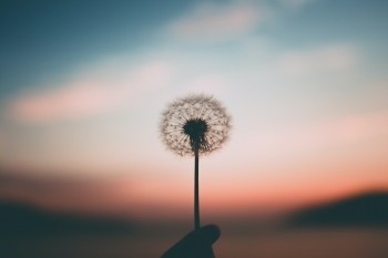 信泰如意尊2.0終身壽險(xiǎn)irr收益率怎么樣？值不值得買？