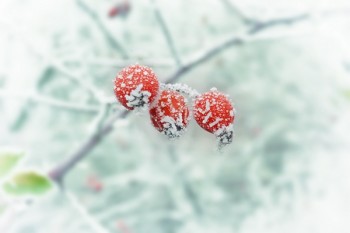 重疾險(xiǎn)繳費(fèi)期滿返還保費(fèi)，保障終身