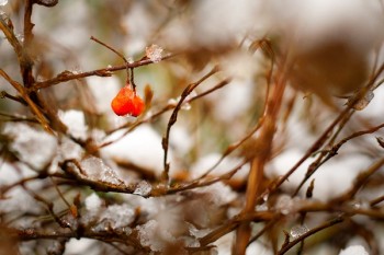 重疾險(xiǎn)是保終身還是到70比較好