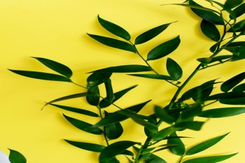 新規(guī)以前買的重疾險擇優(yōu)理賠需要